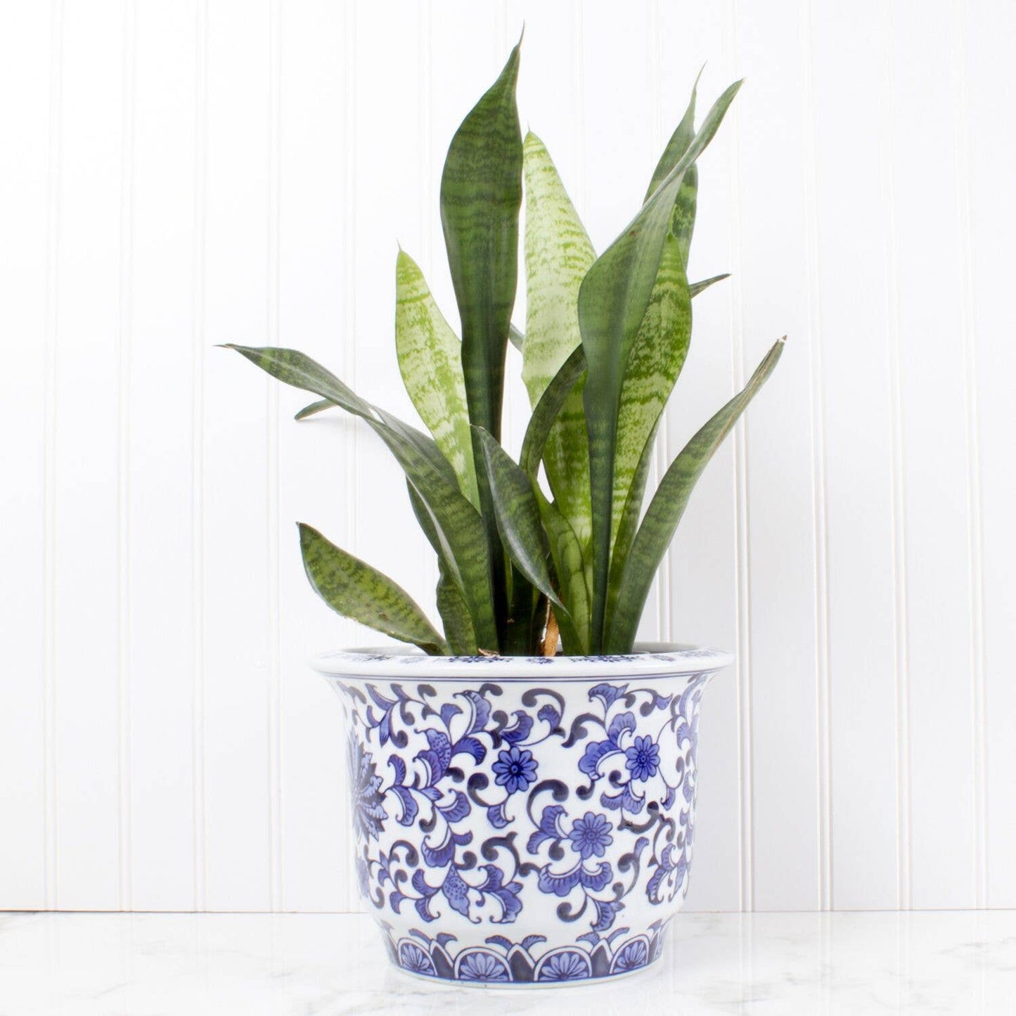 8 Oak Lane - Blue Chinoiserie Planter - Small