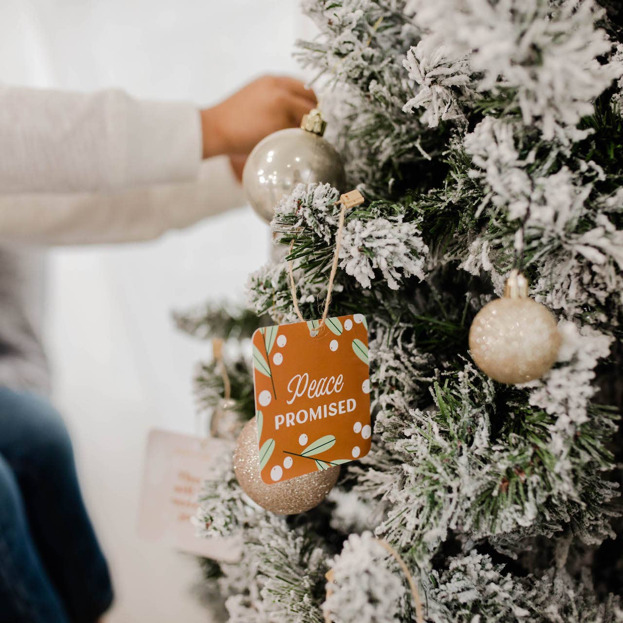 The Daily Grace Co - Family Advent Devotional Ornament Set - Jesus Has Come