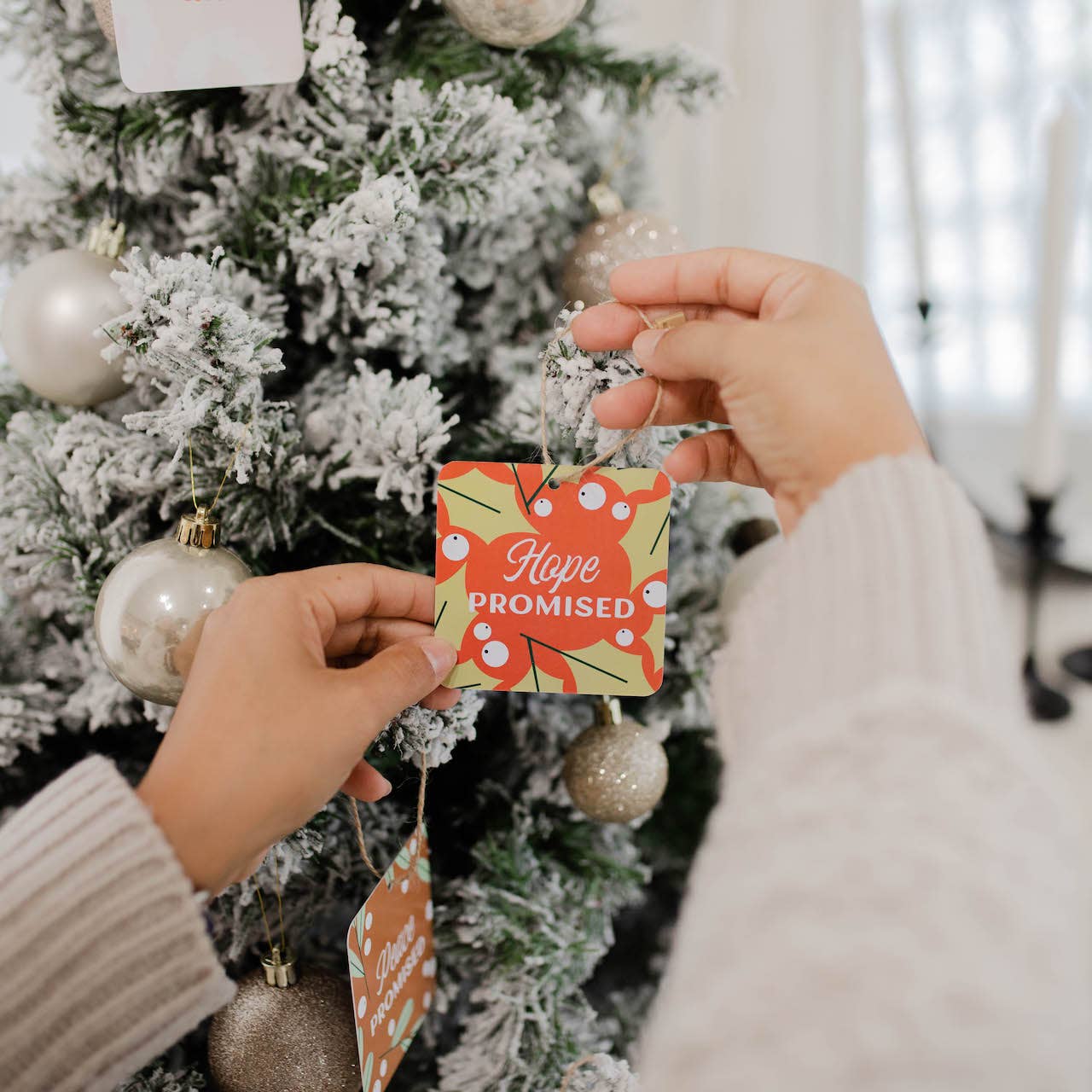 The Daily Grace Co - Family Advent Devotional Ornament Set - Jesus Has Come