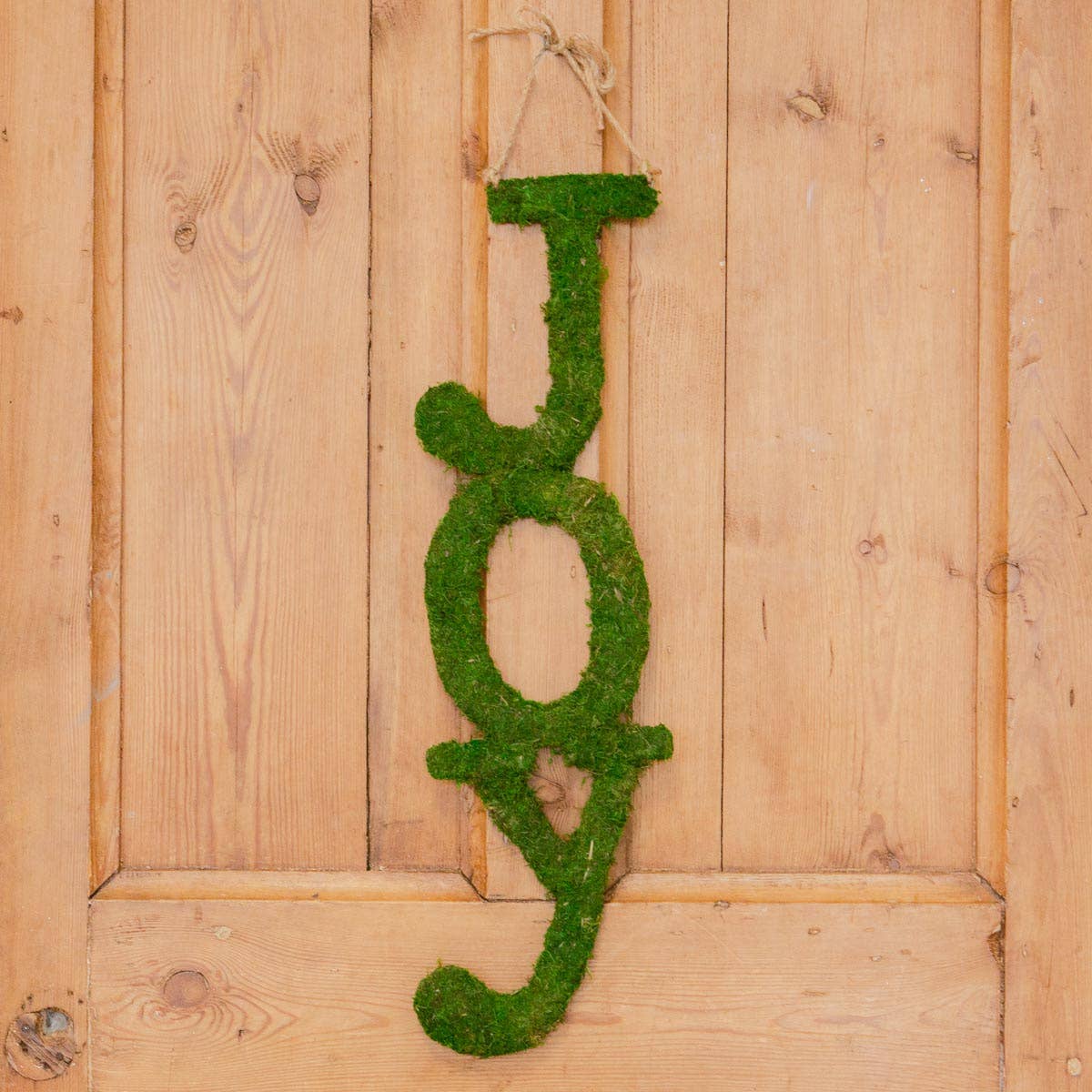 Vertical Joy Moss Door Decor Green 8x25.5