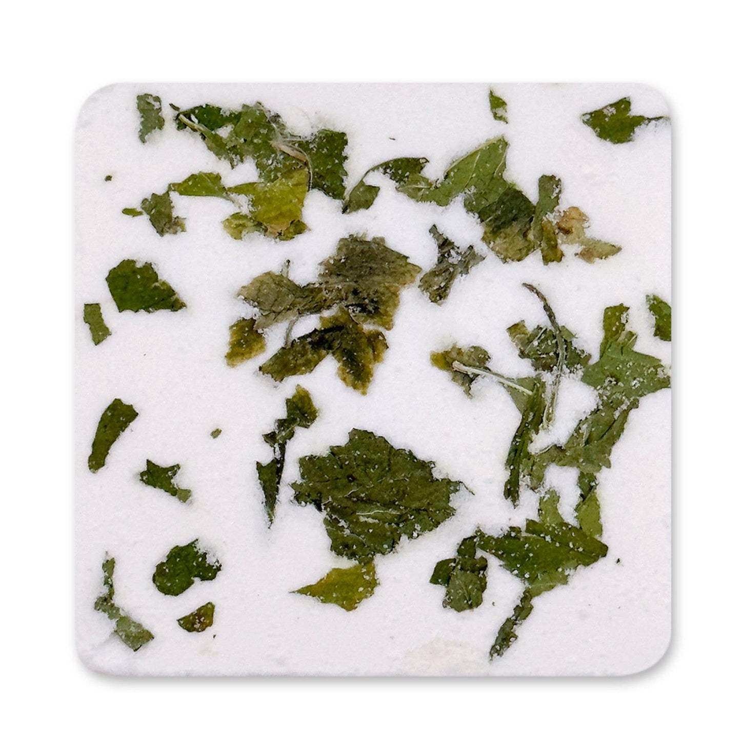 Studio Oh! - Mandarin Mint Shower Steamers