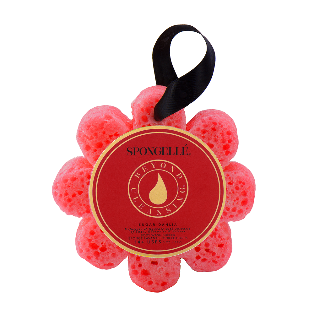 Spongellé - Sugar Dahlia Wild Flower | Valentines Day Gifts