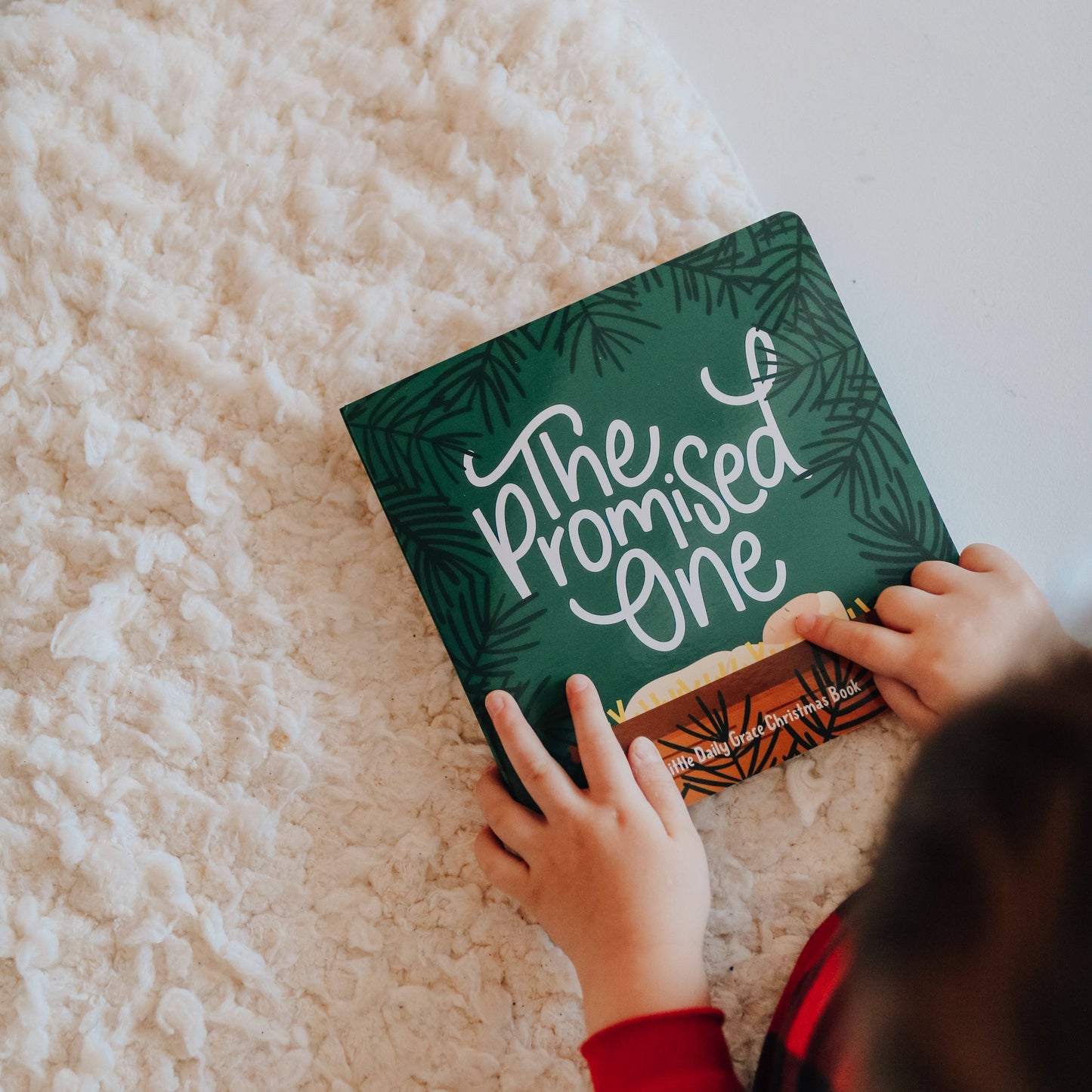 The Daily Grace Co - The Promised One - Board Book